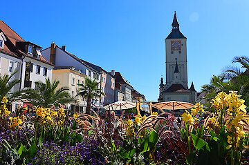 Bayerischer Wald